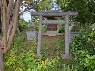DSC_15042.jpg