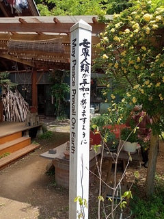 DSC_8821.jpg